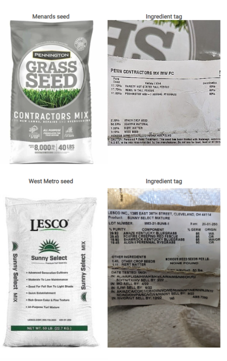 Grass Seed: Buyer Beware!