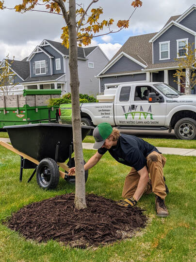 Why Hire a Lawn Care Professional?