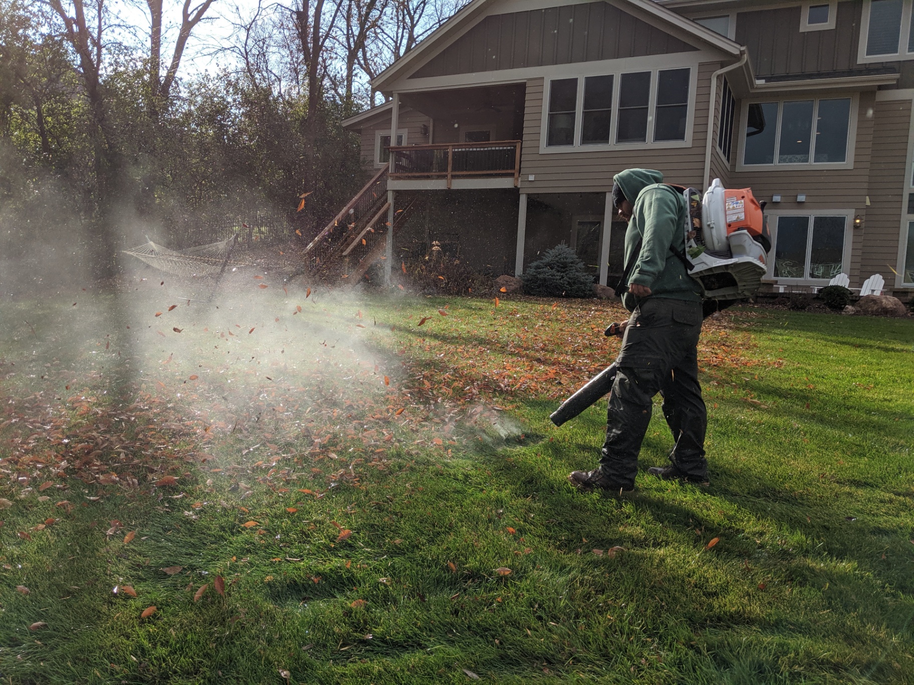 Comprehensive Fall Leaf Cleanup in Plymouth, MN