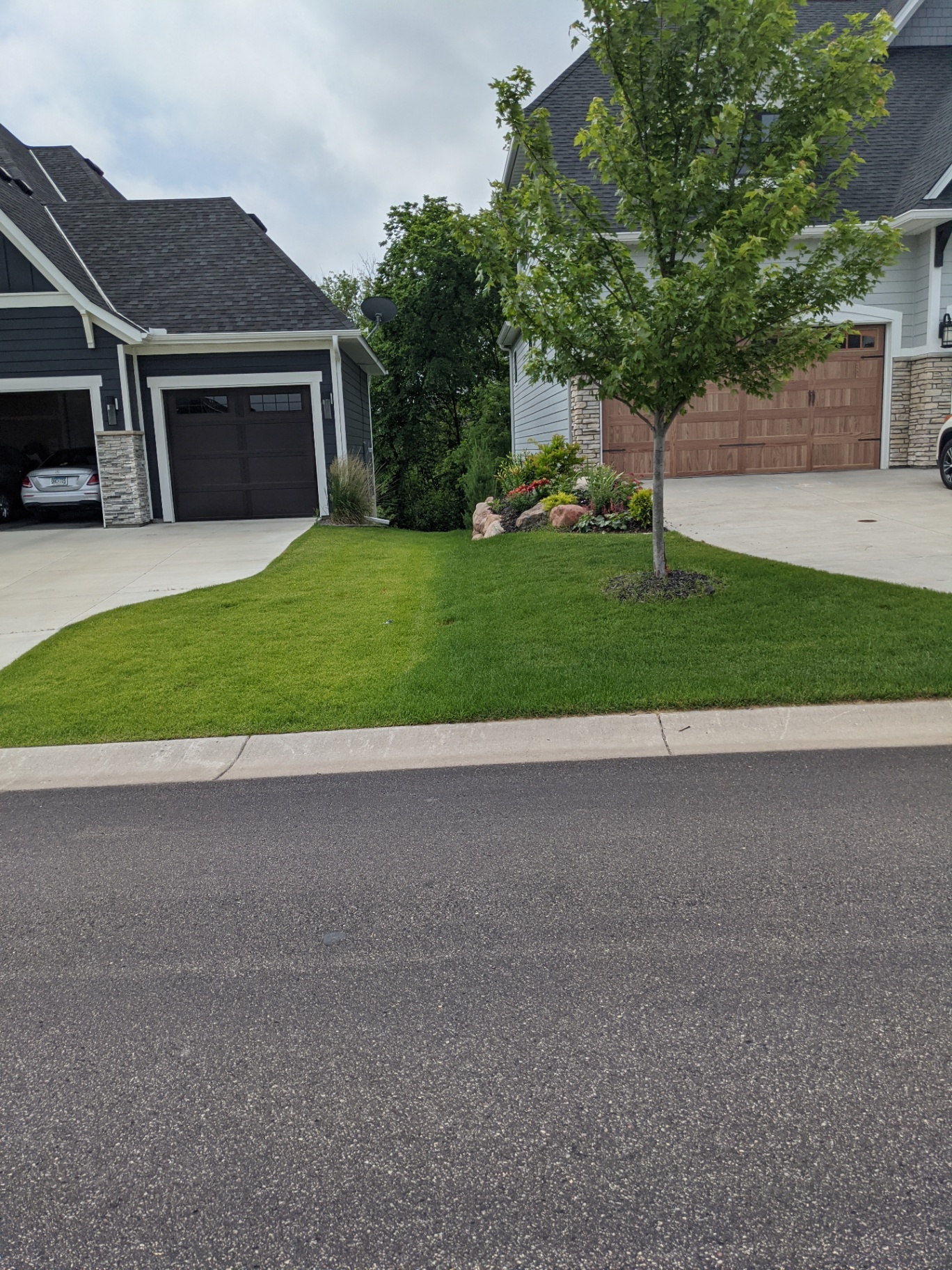 Lawn Transformation: Fertilization Results in Maple Grove, MN