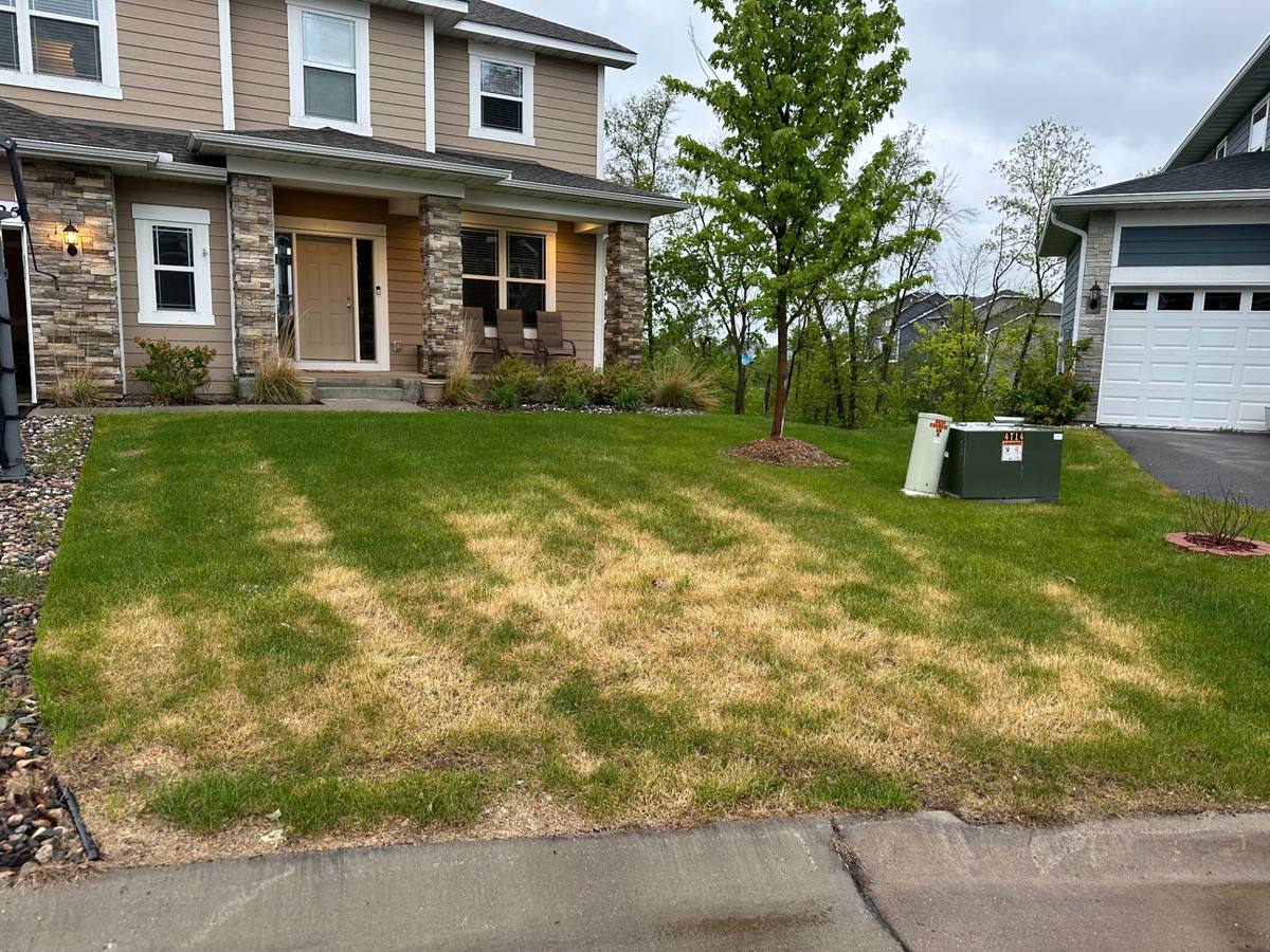 Is Your Lawn Dead or Just Dormant? Rebuilding After Heat and Drought This Summer