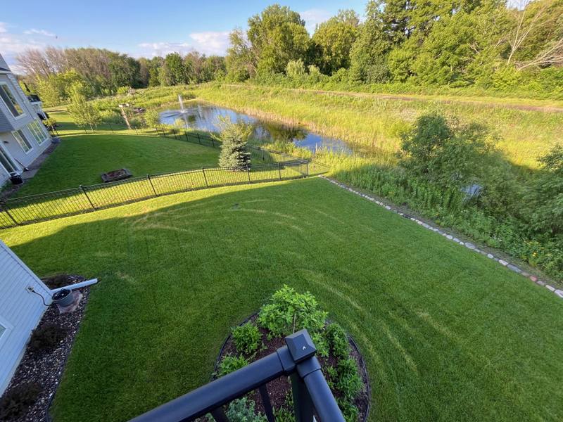 Healthy lawn maintained with proper cultural care