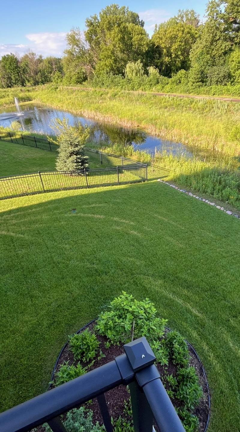 Healthy lawn maintained with proper cultural care