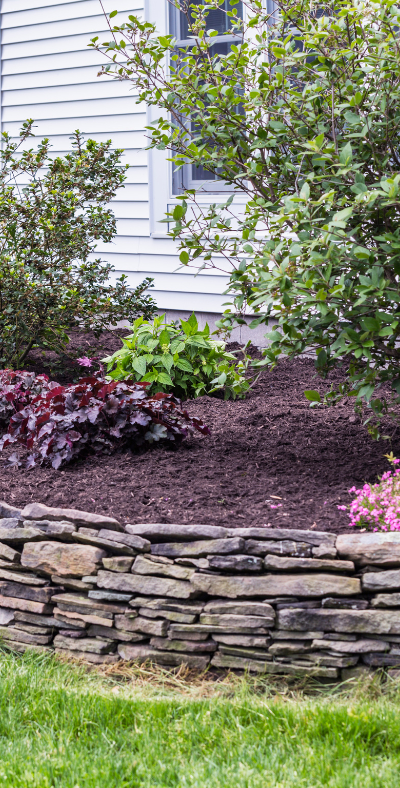 Benefits of Mulch