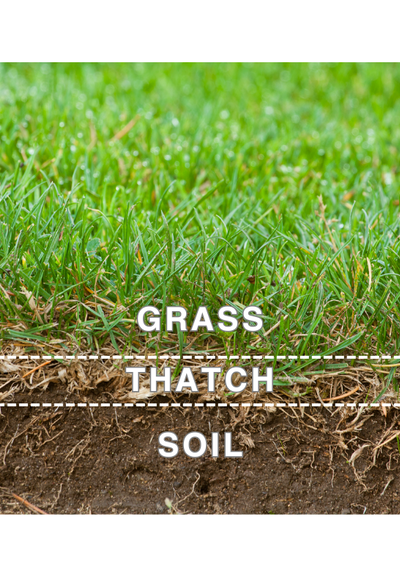Dethatching 101