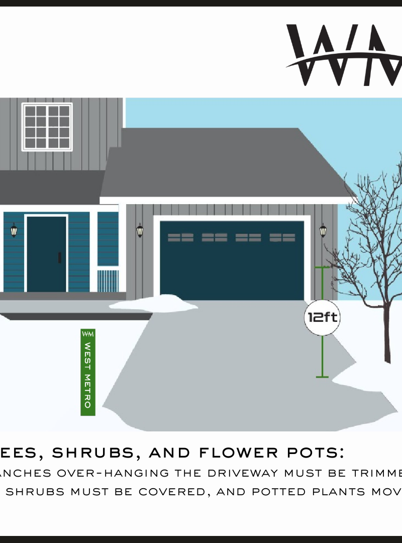 Overhanging branches trimmed to 12 feet, shrubs covered, and potted plants moved