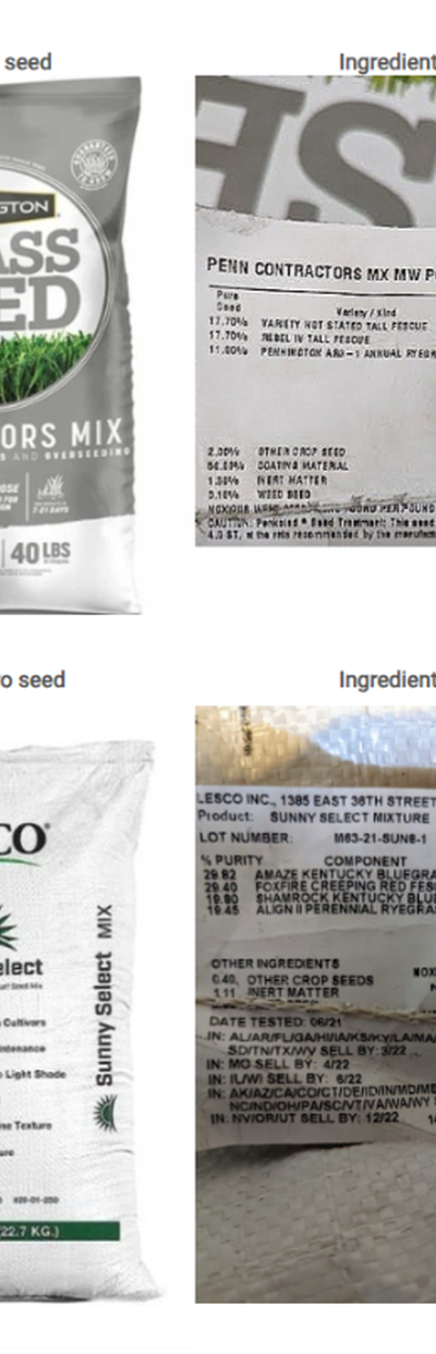 Grass Seed in Minnesota: How to Read the Bag Before You Buy