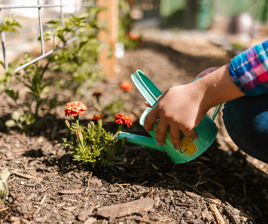 Clean weed-free landscape bed after professional weed control treatment
