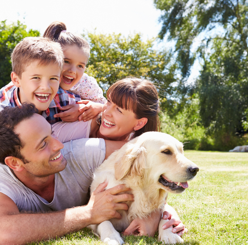 Family and their dog enjoying the backyard