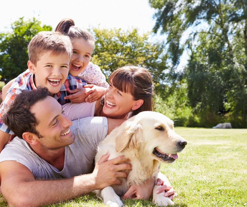 Family and their dog enjoying the backyard