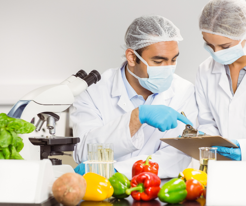 Lab technicians testing fresh produce for pesticide residue