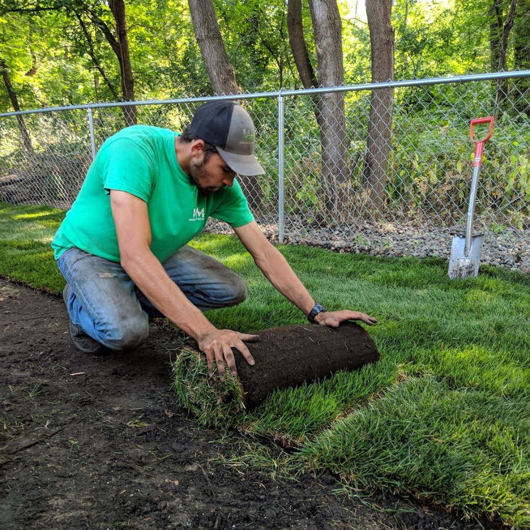 Rolls of fresh sod being installed on a new lawn
