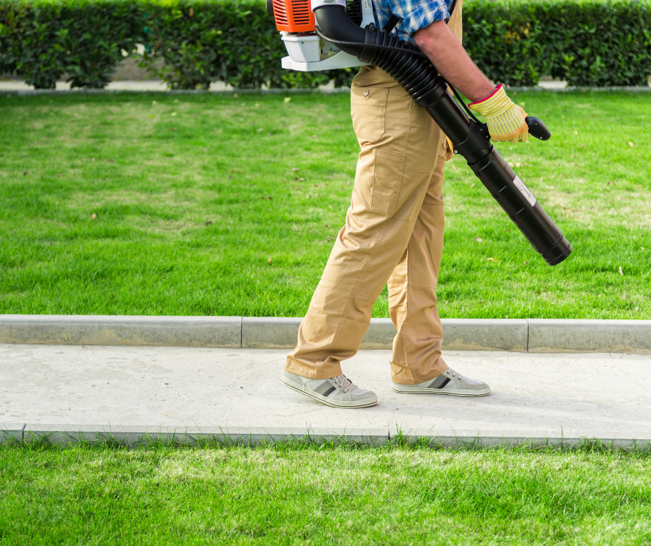 Spring Cleanups