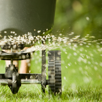 Lush green Minnesota lawn after completing spring lawn care services