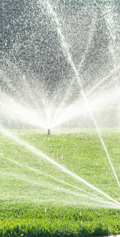 Watering 101