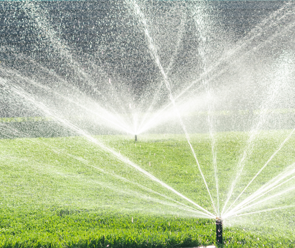 Watering 101