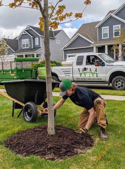 Why Hire a Lawn Care Professional?
