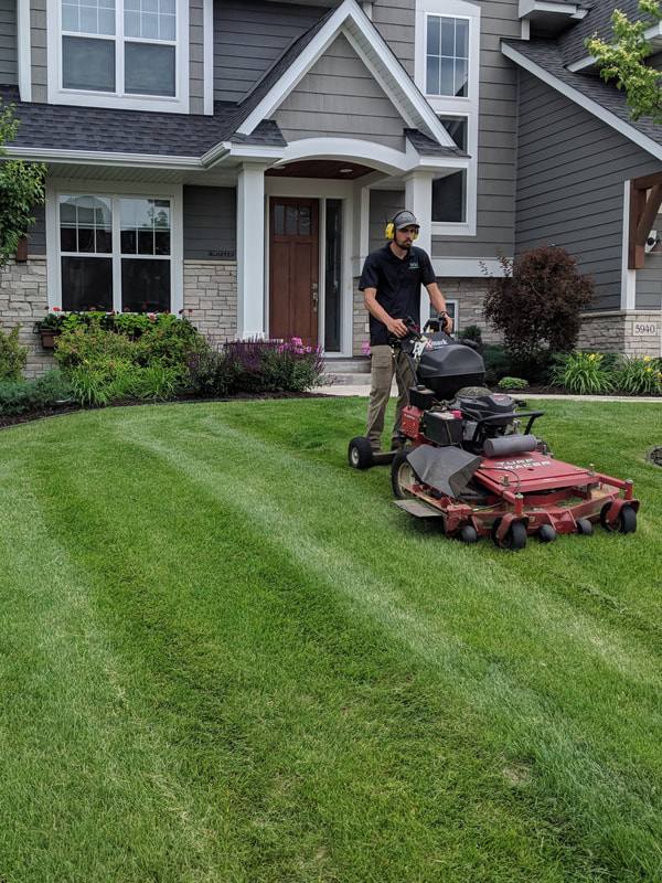 Healthy thick green lawn maintained by lawn care professionals