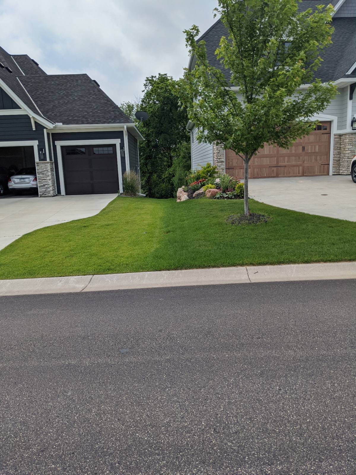 Fertilization Results in Maple Grove, MN | West Metro