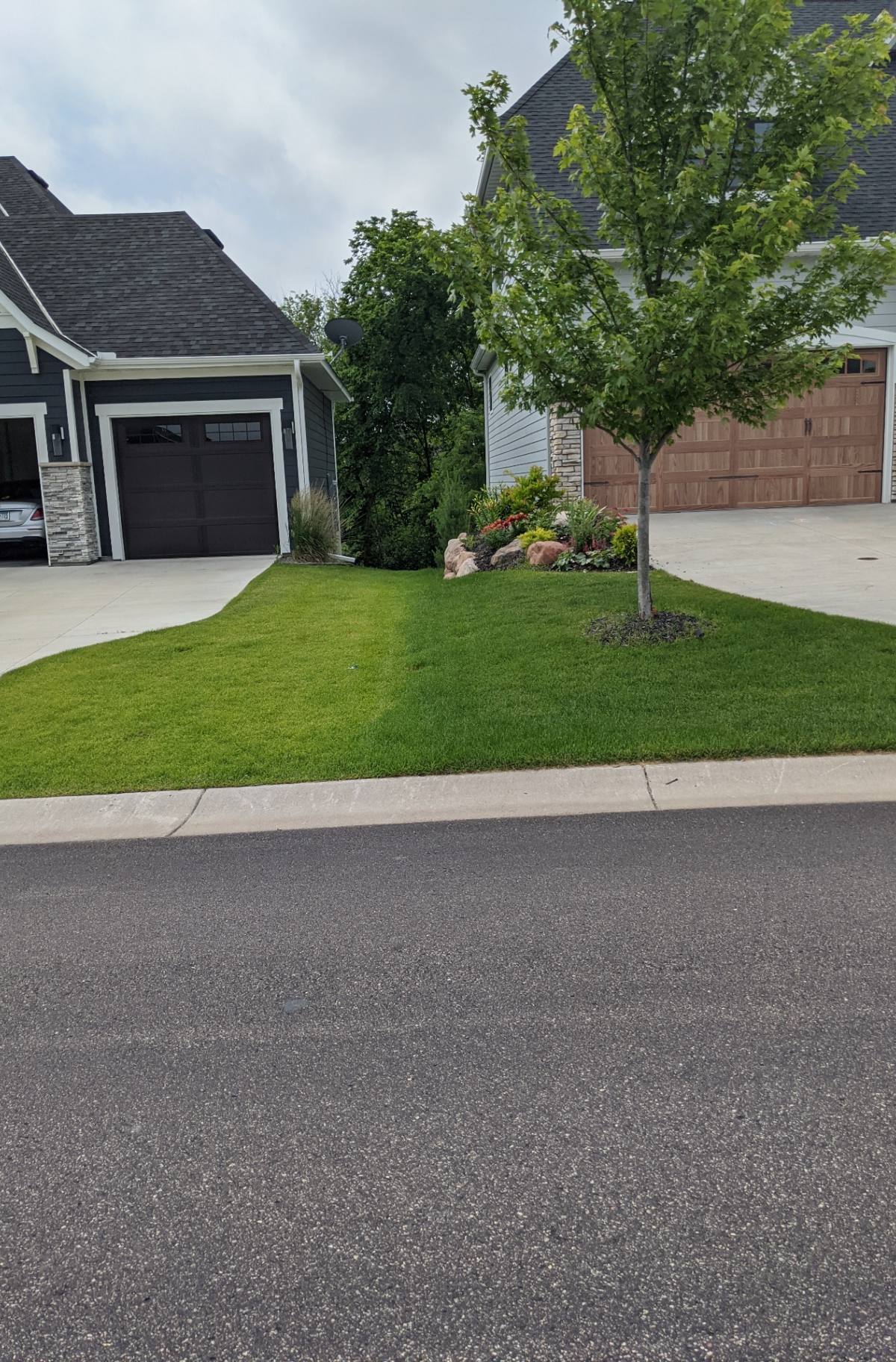 Fertilization Results in Maple Grove, MN | West Metro