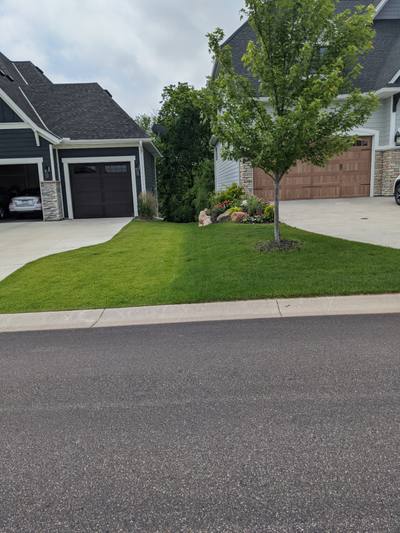 Fertilization Results in Maple Grove, MN | West Metro