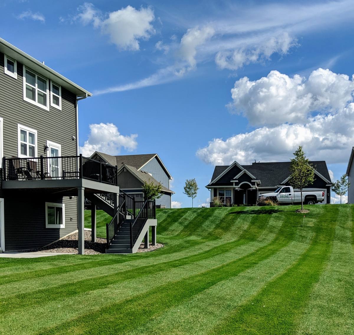 Fertilization & Weed Control, Corcoran MN | West Metro
